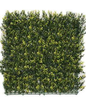 Greenmoods Kunsthaag Buxus Geel 50x50 Cm UV Greenmoods