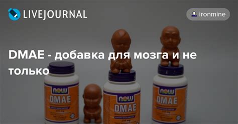 DMAE - добавка для мозга и не только: herbomania — LiveJournal