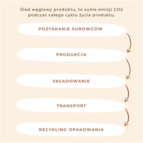 Zerowy ślad węglowy INSIGHT z certyfikatem ISO 14064