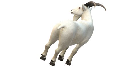 Goat Isolated On A Transparent Background 34487685 PNG