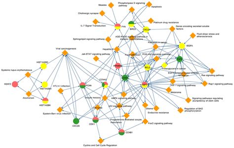 Gene Pathway