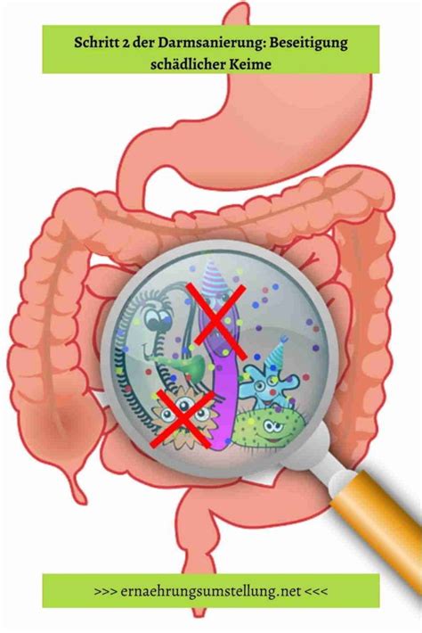 Darmsanierung Schritten Inklusive Darmreinigung Darmreinigung