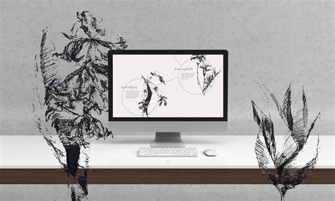 HOUSE OF PLANTS | ONLINE PLANT SHOP on Behance
