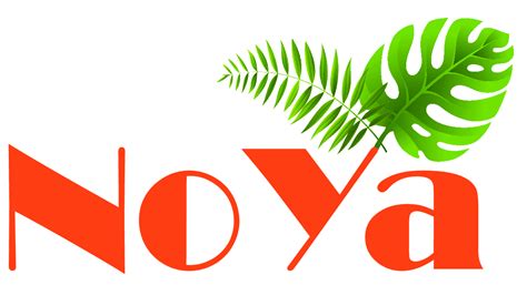 Noya Tcm And Holistic Healthcare Clinic New Zealand