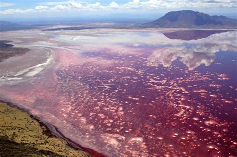 Los Lagos Más Raros Cnn