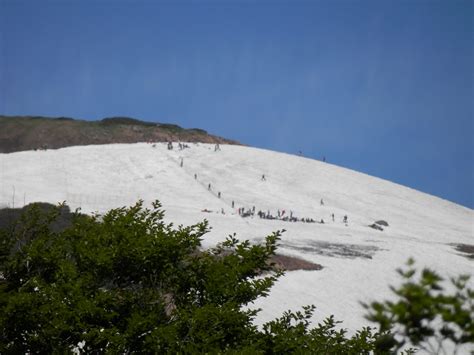 月山フォト2019 月山夏スキーと登山の宿ロッヂやつなみ