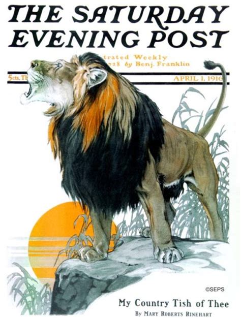 Cover Collection The Big Cats Lions Leopards And Tigers The