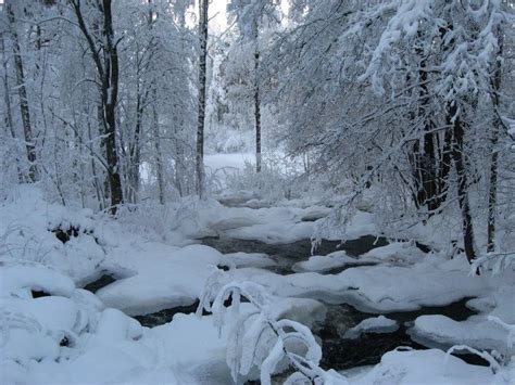 Winter in Finland | Scrolller