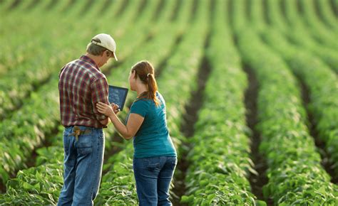 Senar Oferece Curso Gratuito E Online De Agropecu Ria Digital