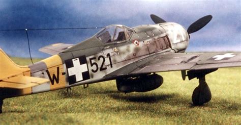 Focke-Wulf Fw 190F-8 by Dennis Moisan (Tamiya 1/48)