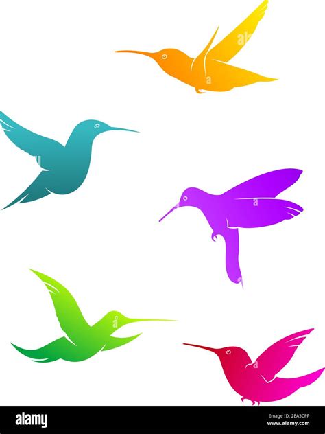 Colorful Flying Hummingbirds Set Isolated On White Background Stock