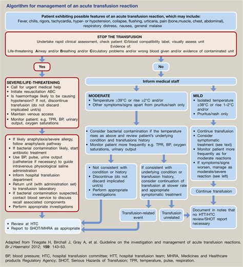 Nursing Guidelines For Blood Transfusion at Arline Rogers blog