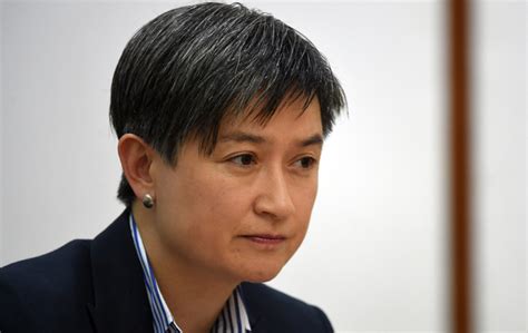 Penny Wong Is Right Same Sex Marriage Plebiscite Will Harm Australia