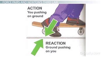 Action & Reaction Forces | Definition & Examples - Lesson | Study.com