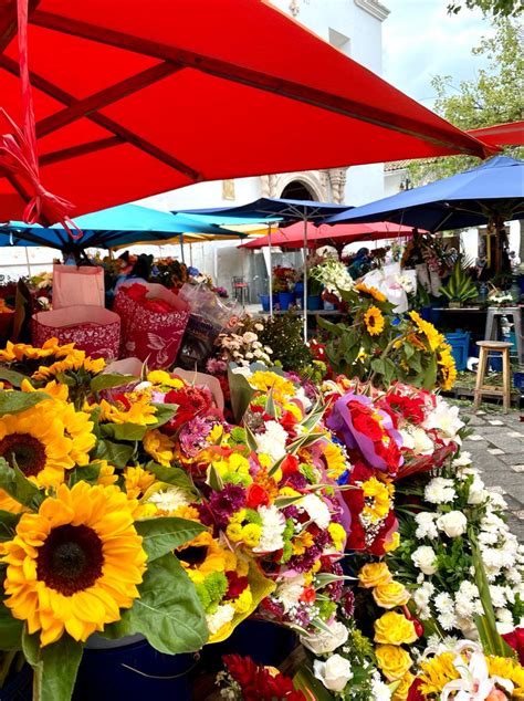 Cuenca Ecuador Fruit Photography Flowers Photograph Fotografie