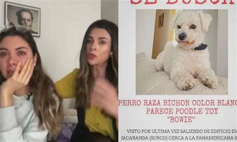 Hija de Fiorella Rodríguez llora por la pérdida de su mascota