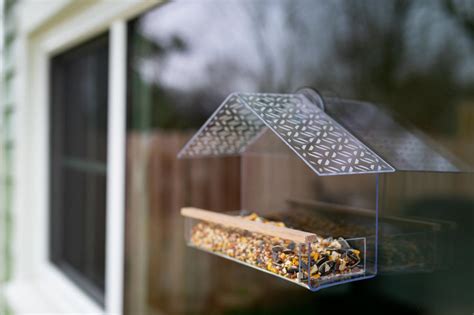 Make A Clear Acrylic Window Bird Feeder HGTV