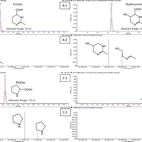 Lcmsms Chromatogram Determination Of Four Compatible Solutes Ect Download Scientific