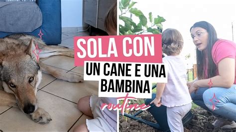 Rimango Sola Con Cane E Bambina Routine Youtube