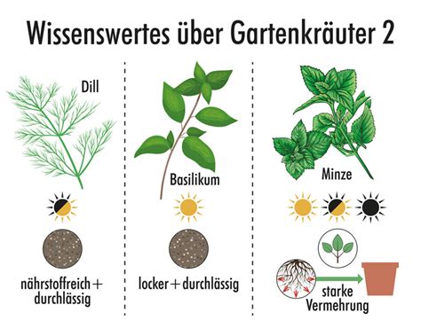 Der Nutzgarten Gem Se Kr Uter Und Obst Erfolgreich Anbauen