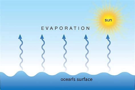 Factor Affecting Evaporation: Definition, Rate of Evaporation, Examples