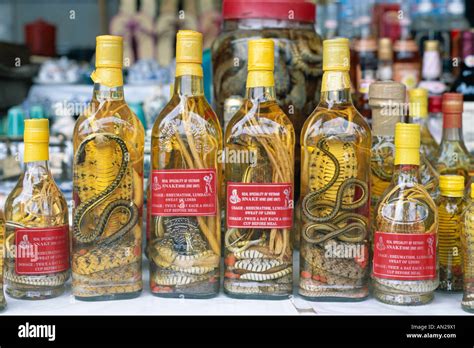 bottles  snake herbal medicine snake wine ho chi minh city saigon