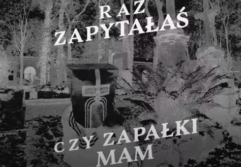 Dildo Baggins Ma Przeb J Na Wszystkich Wi Tych Bierzesz P Ki Wie Y Offtech