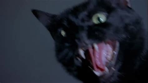 Scary Movie Help My Pussy S Gone Crazy Find Clips On VLIPSY