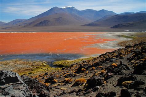 Uyuni Salt Flat Tours How To Choose The Best One