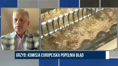 Grzyb Komisja Europejska popełnia błąd ws ukraińskiego zboża