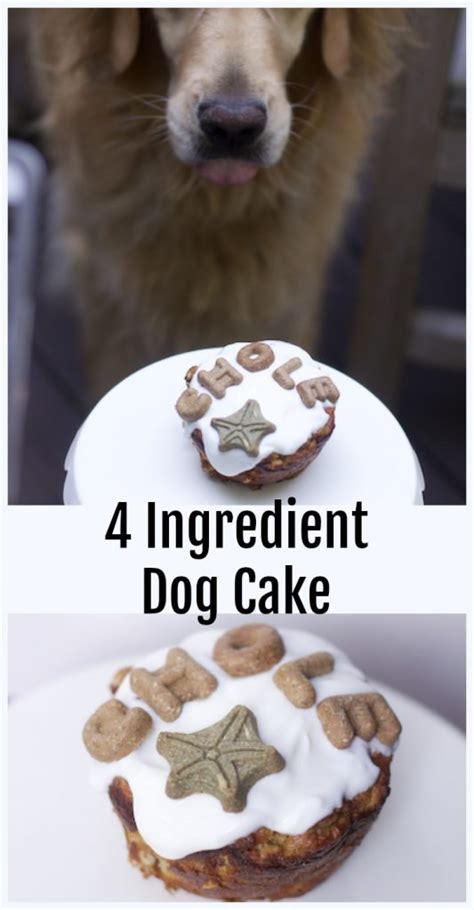 23 Of the Best Ideas for Dog Birthday Cake Recipes Easy - Best Recipes Ideas and Collections