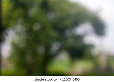 Natural Green Leaves No Background Bokeh Stock Photo 1180548403 ...