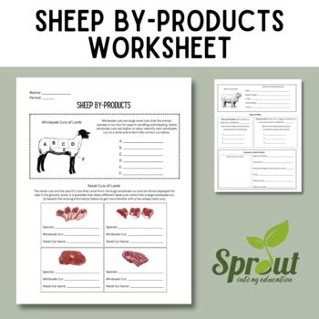 Sheep By Products Worksheet By Sprout In Ag Education TPT