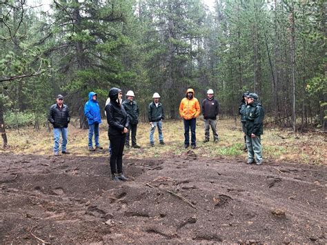 Restoring forest habitat for grizzly bears and other wildlife — Greater ...