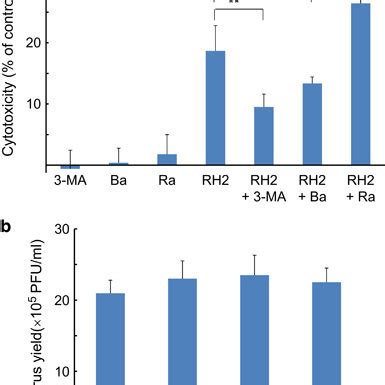 Effects Of Autophagy Inhibitors 3 MA And Bafilomycin A1 And The