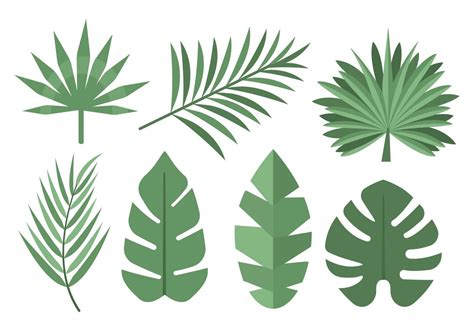 Tropical Palm Leaves Vector 146162 Vector Art at Vecteezy