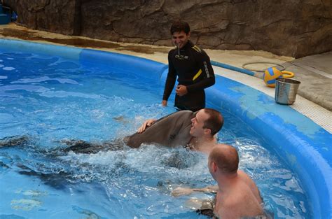 Glorious Gay Days Making Out With A Dolphin