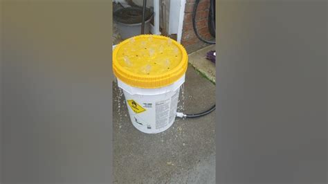 Homemade Crawfish Washer Youtube