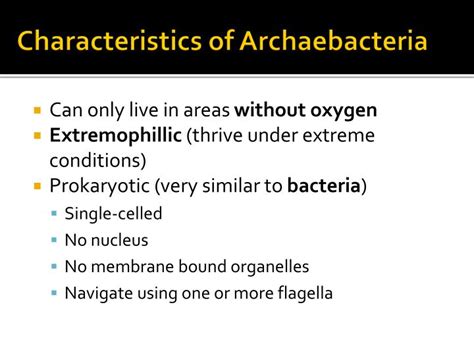 Archaea Characteristics