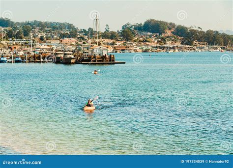 Kayaking In The Harbor And Estuary Morro Bay Tiny Beach Town In