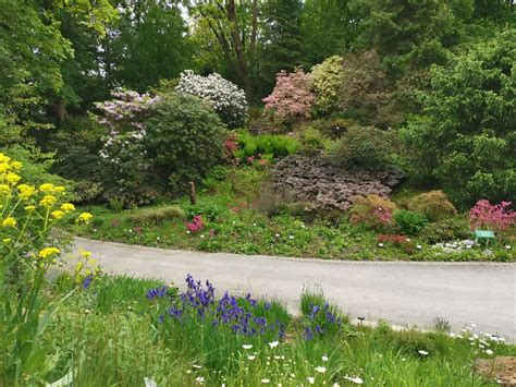 Botanischer Garten Der Universit T Osnabr Ck Ffnet Ab Dem Juni