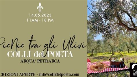 Picnic Tra Gli Ulivi Il Maggio