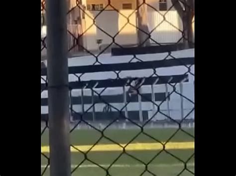 transa ao ar livre puta dando a buceta na praça instagram dela apnxyas XVIDEOS