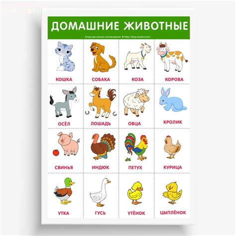Карточки с домашними животными для детей распечатать: Карточки Домана ...