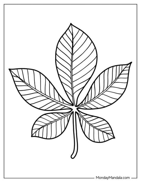 34 Leaf Coloring Pages Free Pdf Printables