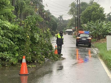 盧碧挾雨彈 台中大里霧峰路樹倒 觸快訊