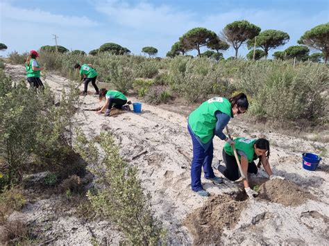 El voluntariado ecológico indispensable para la conservación