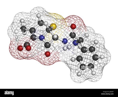 Cefalexin Antibiotic Drug Molecule Cephalosporin First Generation