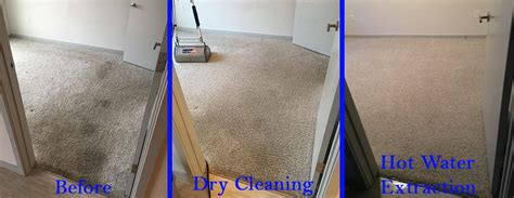 Dry Carpet Cleaning vs. Hot Water Extraction | Which is Best?