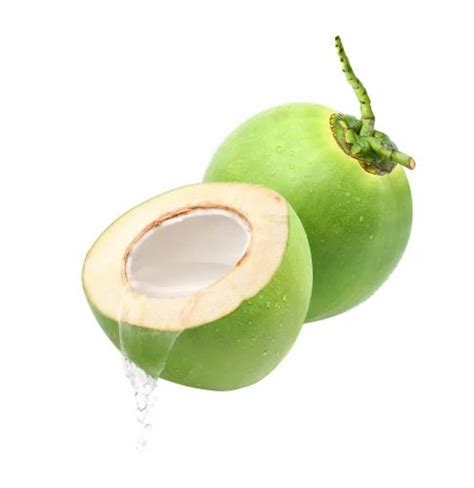 A Grade Solid FRESH FARM COCONUT Coconut Size Large At Rs 28 Piece In